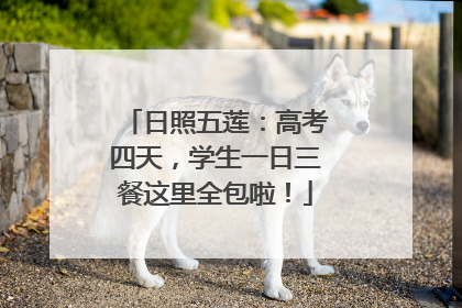 日照五莲：高考四天，学生一日三餐这里全包啦！